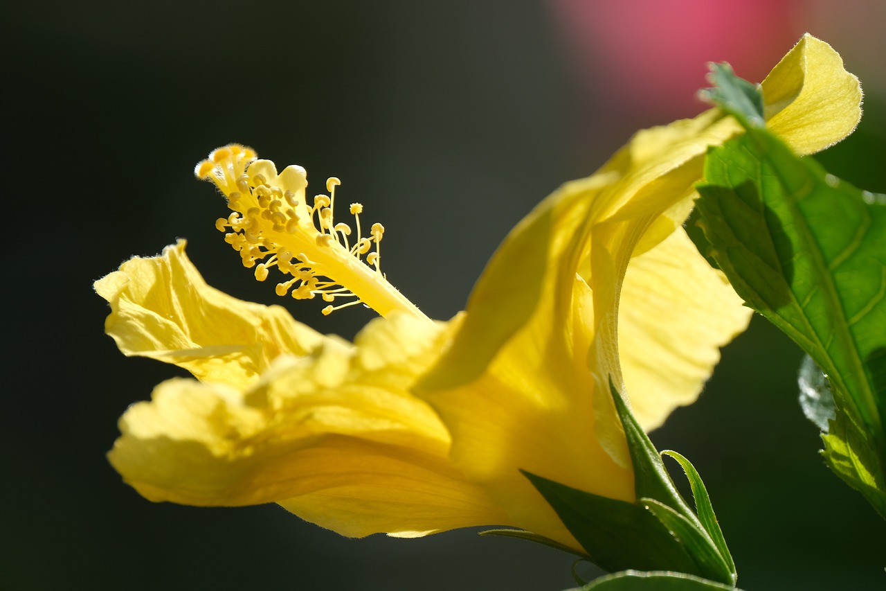 You are currently viewing નહીં ચાલે